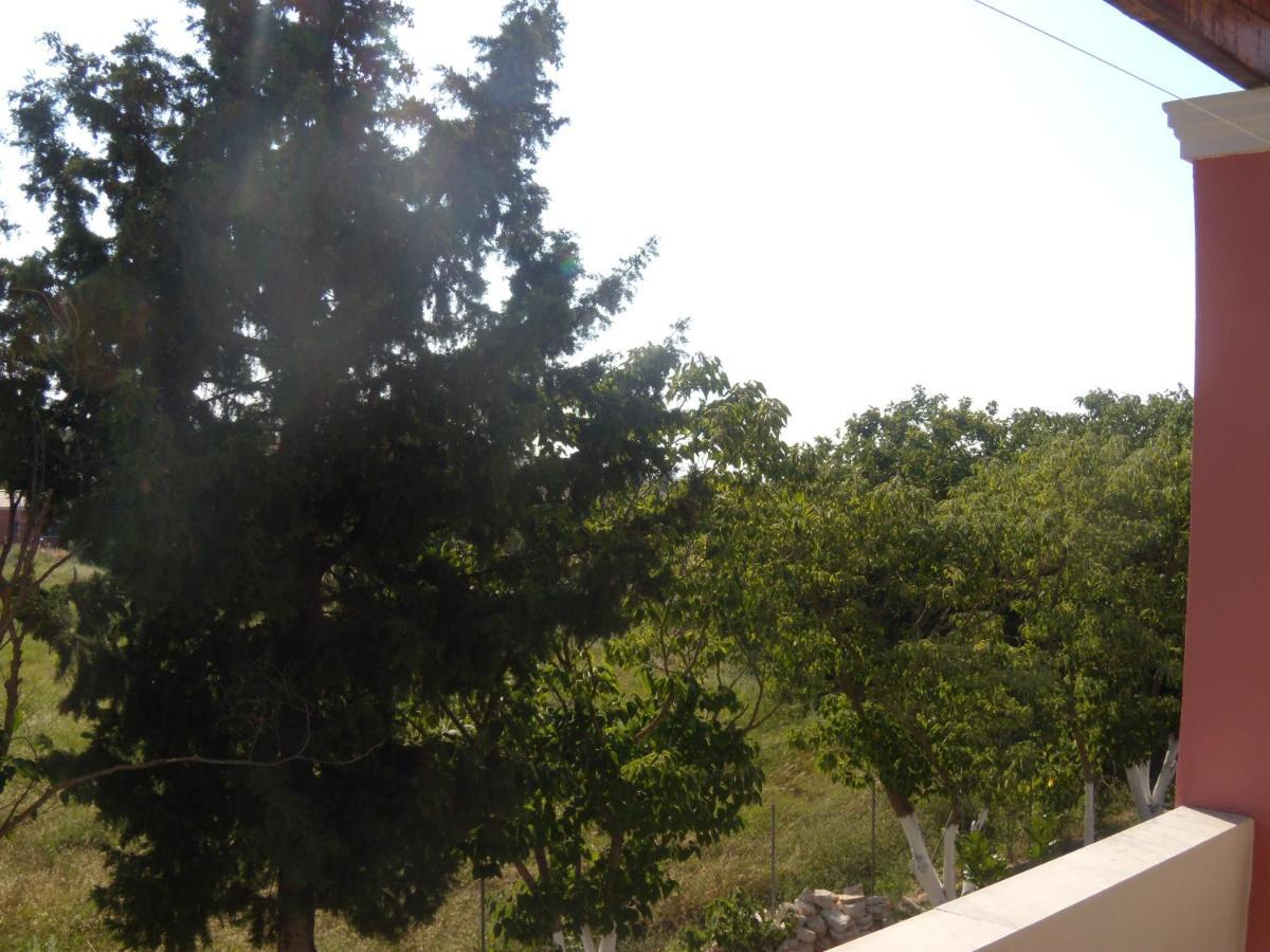 Antigoni Apartments Acharavi (Corfu) Exterior foto